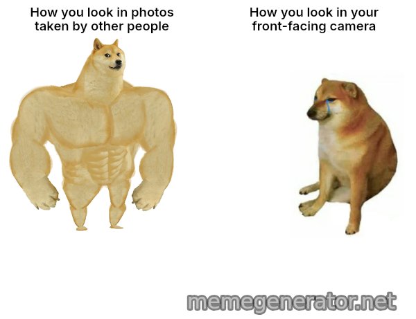Buff Doge vs. Cheems meme: How you look in photos taken by other people / How you look in your front-facing camera