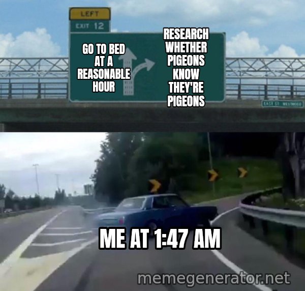 Left Exit 12 Off Ramp meme: Go to bed at a reasonable hour / Research whether pigeons know they're pigeons / Me at 1:47 am
