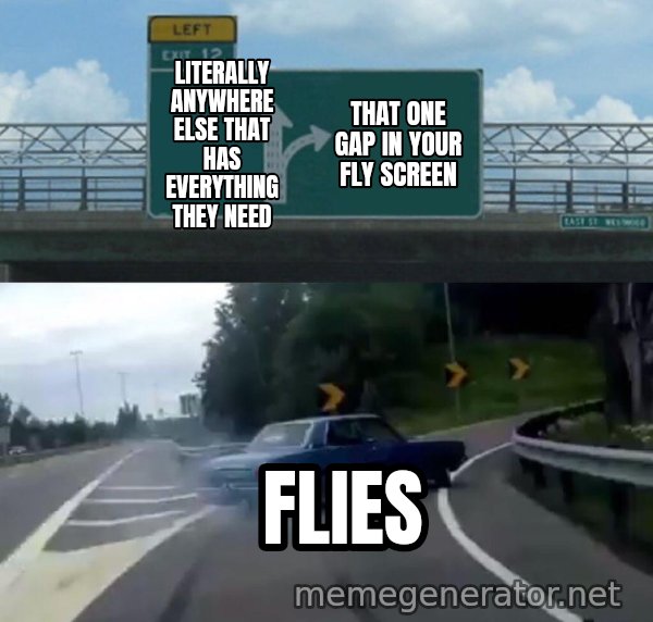Left Exit 12 Off Ramp meme: Literally anywhere else that has everything they need / That one gap in your fly screen / Flies