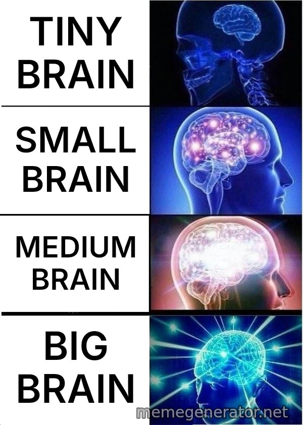 Expanding Brain meme: TINY BRAIN / SMALL BRAIN / MEDIUM BRAIN / BIG BRAIN