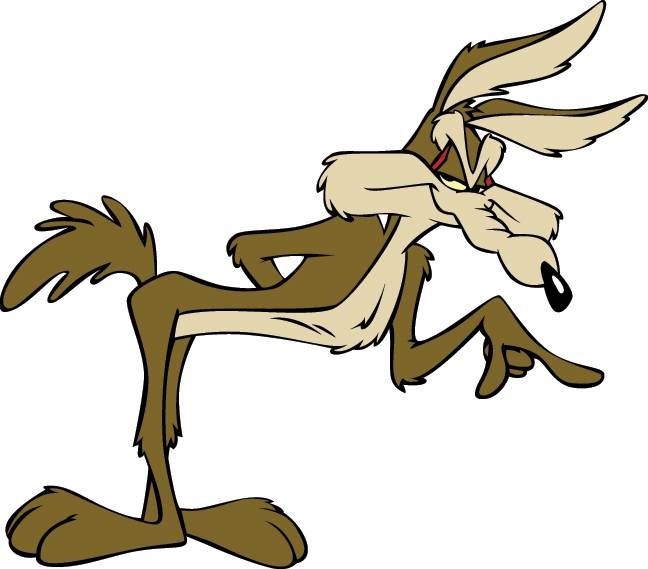 Looney Tunes Wile E Coyote