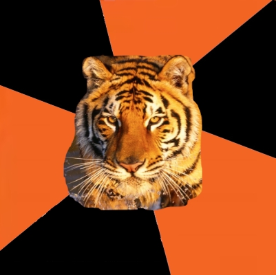 Techie Tigers