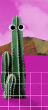 cactus jones