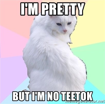 Beauty Addict Kitty - I'm pretty but I'm no TEETOK