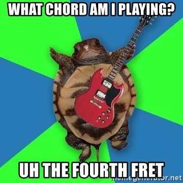 Aspiring Musician Turtle - WHAT CHORD AM I PLAYING? UH THE FOURTH FRET