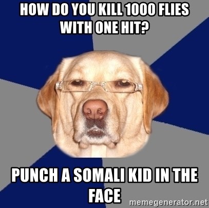 Racist Dog - hOW DO YOU KILL 1000 FLIES WITH ONE HIT? PUNCH A SOMALi kID IN THE FACE