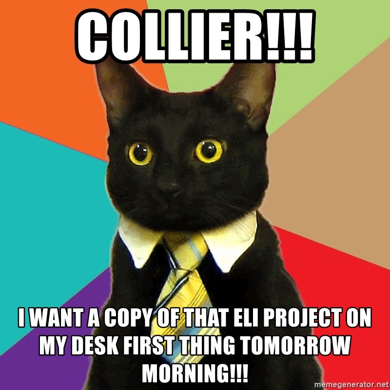 Business Cat - Collier!!! i want a copy of that eli project on my desk first thing tomorrow morning!!!
