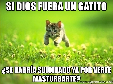 God Kills A Kitten - sI DIOS FUERA UN GATITO ¿SE HABRÍA SUICIDADO YA POR VERTE MASTURBARTE?
