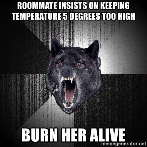 Insanity Wolf - roommate insists on keeping temperature 5 degrees too high burn her alive