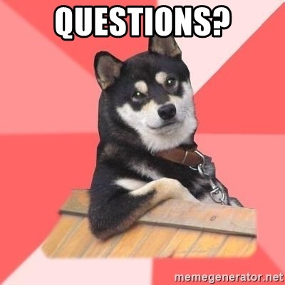 Cool Dog - Questions?