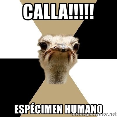 Music Major Ostrich - calla!!!!! espécimen humano