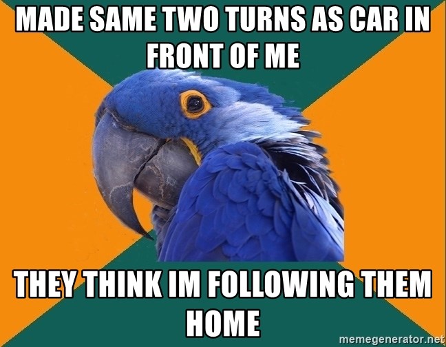 Paranoid Parrot - mADE SAME TWO TURNS AS CAR IN FRONT OF Me thEY THINK IM following them home