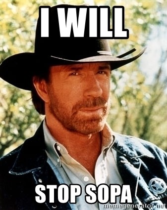 Brutal Chuck Norris - i will  stop sopa