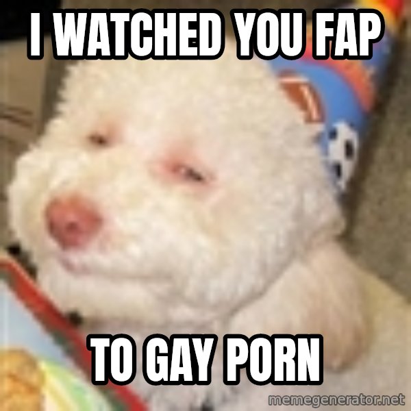 I watched you Fap To gay porn - Troll dog | Meme Generator