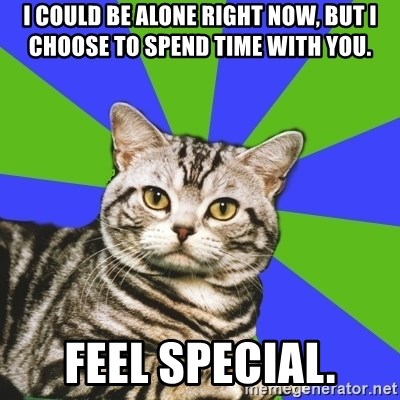 Introvert Cat - I could be alone right now, but I choose to spend time with you. Feel Special.
