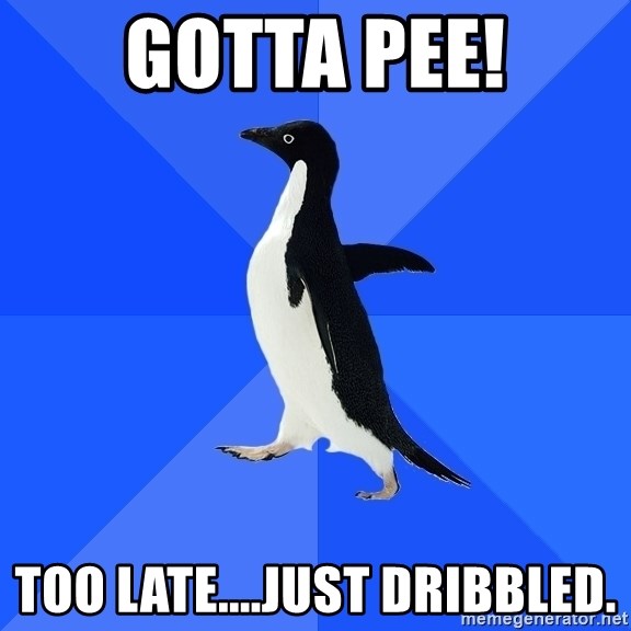 Socially Awkward Penguin - Gotta Pee! Too late....just dribbled.