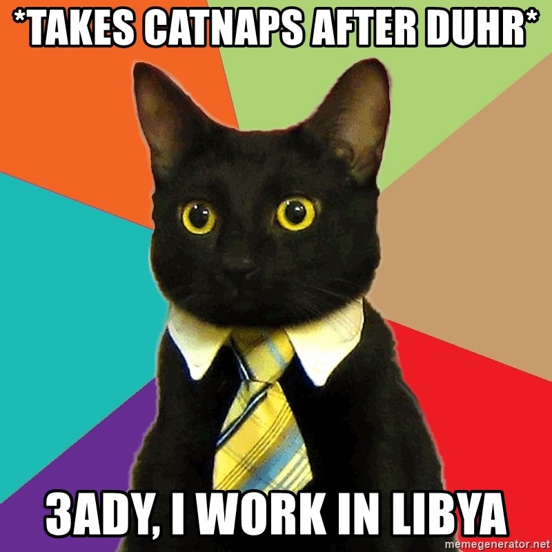 Business Cat - *takes catnaps after duhr* 3ady, I work in Libya