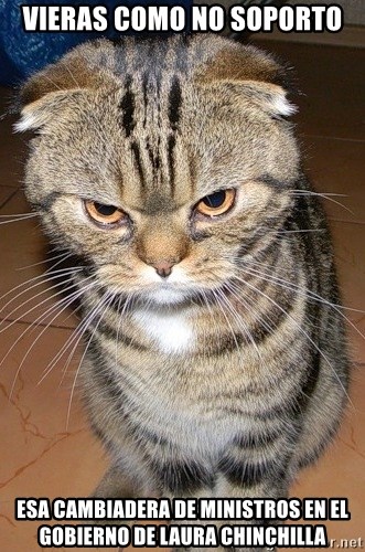 angry cat 2 - vieras como no soporto esa cambiadera de ministros en el gobierno de laura chinchilla