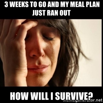 First World Problems -  3 weeks to go and my Meal plan just ran out how will I survive?