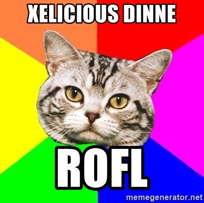 Wisdom Cat - XELICIOUS DINNE rofl
