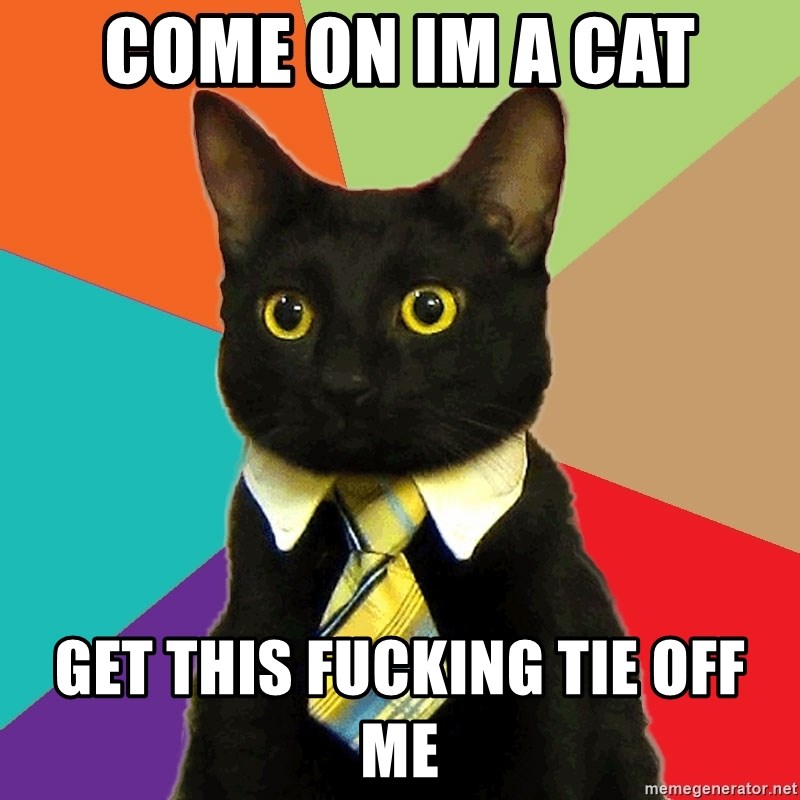 Business Cat - come on im a cat get this fucking tie off me