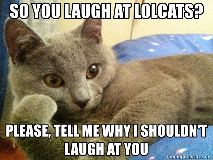 Willy Wonkat - so you laugh at lolcats? please, tell me why i shouldn't laugh at you