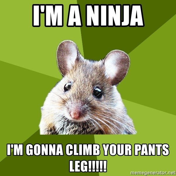 Prospective Museum Professional Mouse - i'M a nINJA i'M GONNA CLIMB YOUR pANTS LEG!!!!!