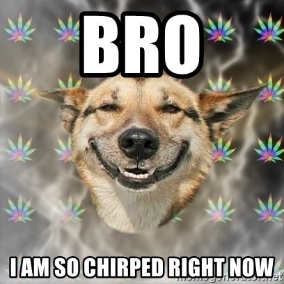 Stoner Dog - Bro I am so chirped right now