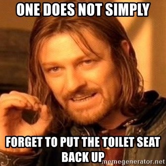 One Does Not Simply - one does not simply forget to put the toilet seat back up