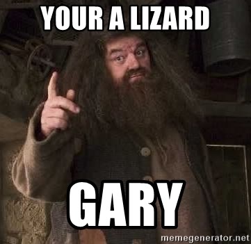 Hagrid - your a lizard gary