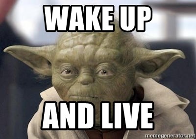 Master Yoda - wake up and live