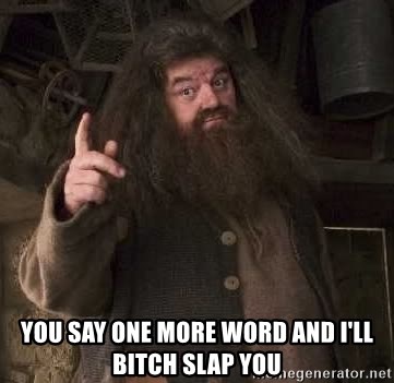 Hagrid - You say one more word and i'll bitch slap you