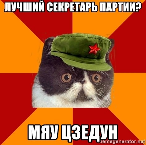 Communist Cat - Лучший секретарь партии? Мяу Цзедун