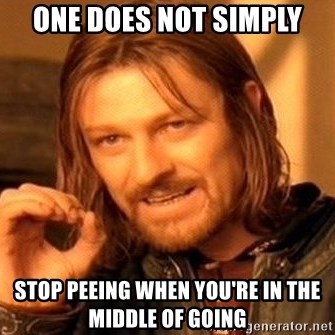 One Does Not Simply - One does not simply stop peeing when you're in the middle of going