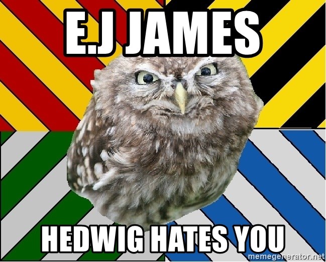 JEALOUS POTTEROMAN - e.j james  hedwig hates you