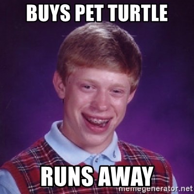 Bad Luck Brian - Buys pet turtle Runs away