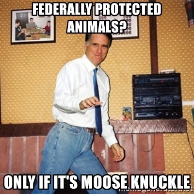 Mom Jeans Mitt - federally protected animals? only if it's moose knuckle
