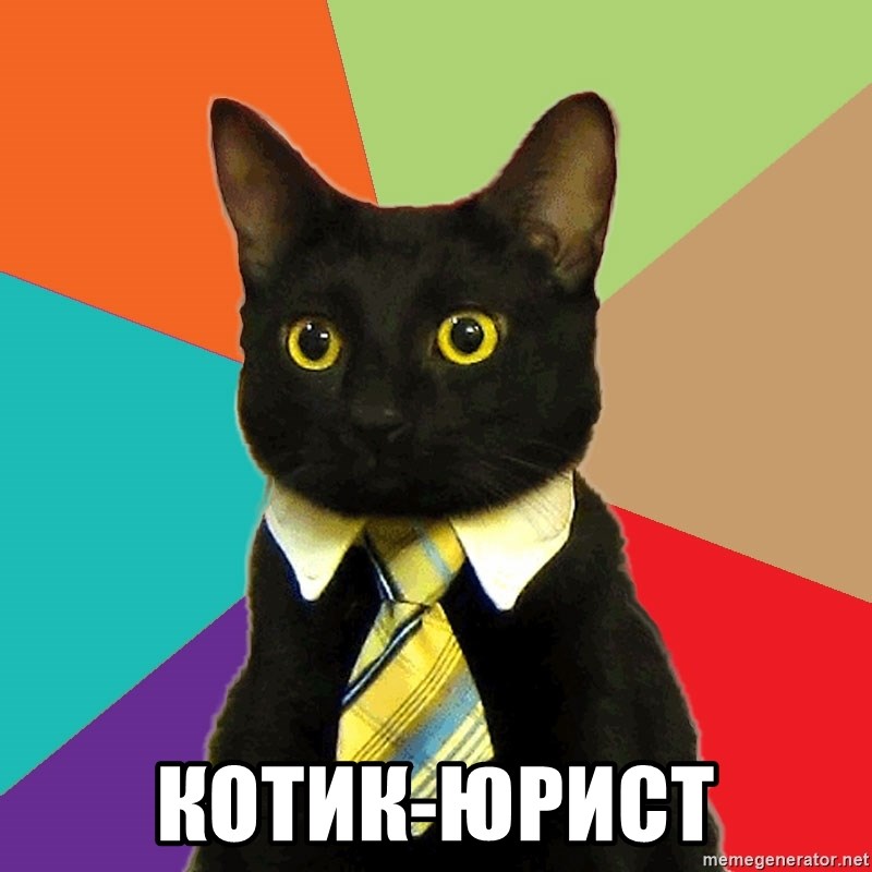 Business Cat - КОТИК-ЮРИСТ