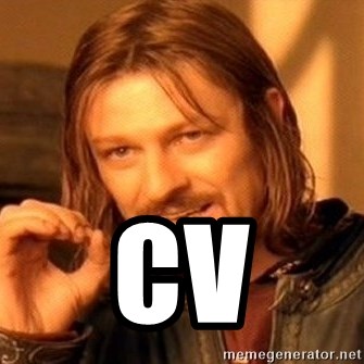One Does Not Simply - cv