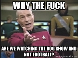 Picard Wtf - Why the fuck are we watching the dog show and not football?
