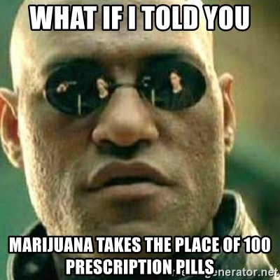 What If I Told You - what if i told you marijuana takes the place of 100 prescription pills