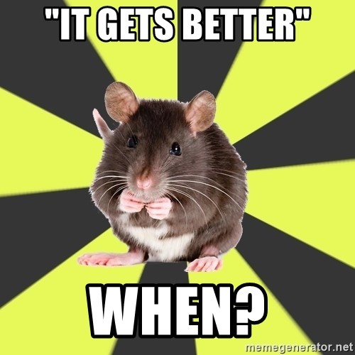 Survivor Rat - "it gets better" when?
