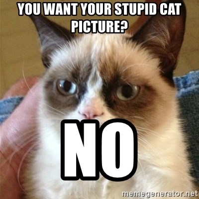 Grumpy Cat  - you want your stupid cat picture? no