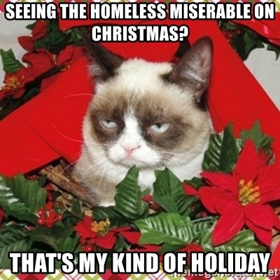 Grumpy Christmas Cat - Seeing the homeless miserable on christmas? that's my kind of holiday