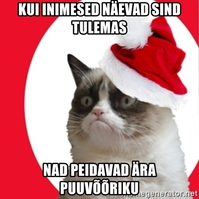 Christmas grumpy cat 102 - kUI INIMESED NÄEVAD SIND TULEMAS NAD PEIDAVAD ÄRA PUUVÕÕRIKU