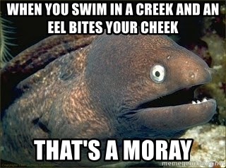 Bad Joke Eel v2.0 - When you swim in a creek and an eel bites your cheek that's A Moray
