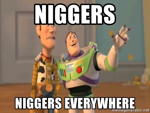 X, X Everywhere  - niggers niggers everywhere