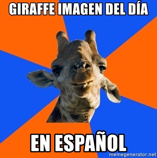 Douchebag Giraffe - Giraffe Imagen del día en español
