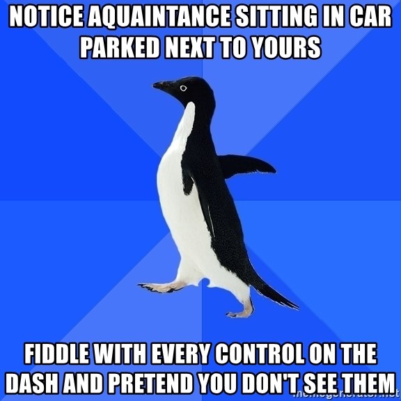 Socially Awkward Penguin - notice aquaintance sitting in car parked next to yours fiddle with every control on the dash and pretend you don't see them