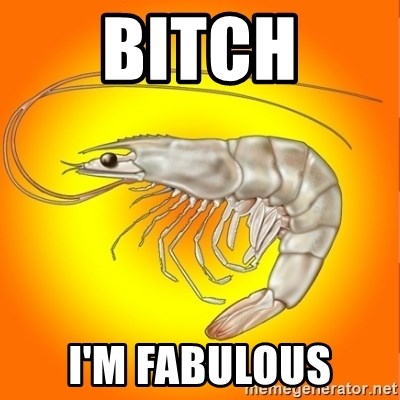 Socially awkward shrimp - BITCH I'M FABULOUS